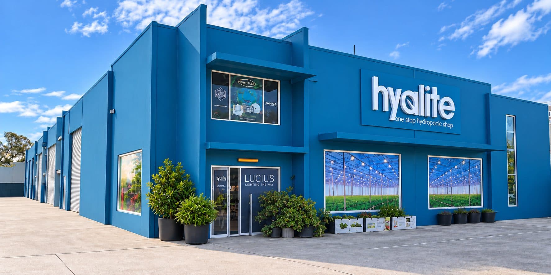 A Hyalite store: the blue showroom with the Hyalite sign and the Lucius lighting display at the door