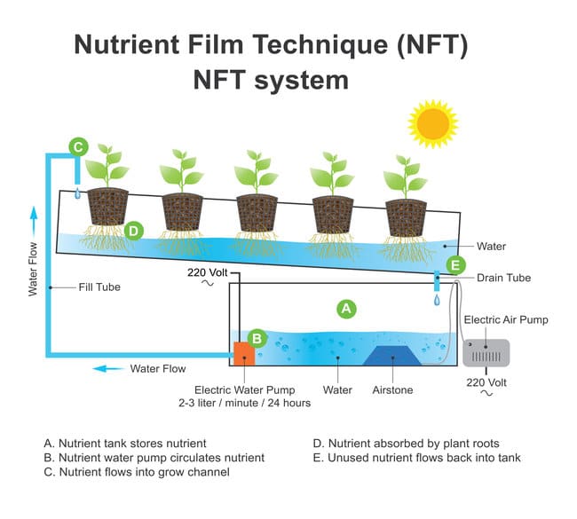 what is nft hydroponics nutrient film technique hydroponics diagram